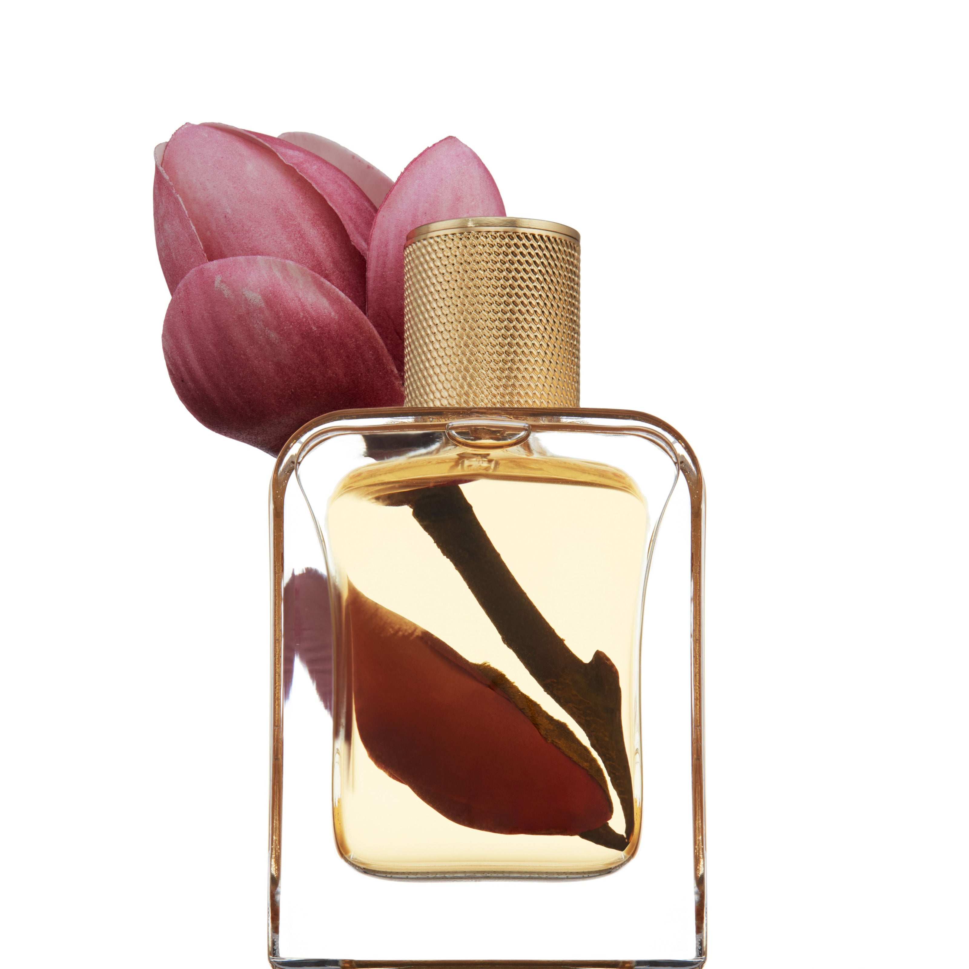 VERONIQUE GABAI READY FOR ROSÉ EDP