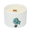 Med Botanical Candles - Japanese Garden 3% fragrance Oil