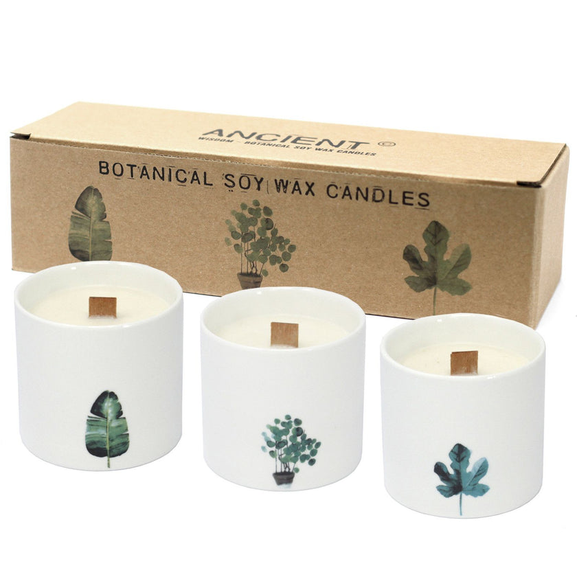 Large Botanical Candles - Victorian Peony 3% Fragrance Oil