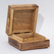 Hop Hare Big Enameled Artisan Square Box - Lion & Snakes