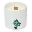 Large Botanical Candles - Marsh Viola 3% Fragrance Oil