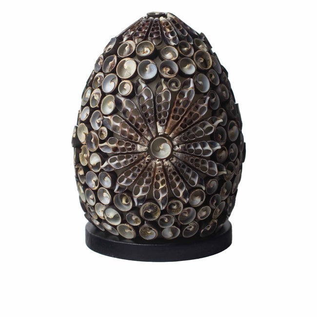 Boho Sea Shell Lamp - Chocolate Twist Oval Egg - 15cm