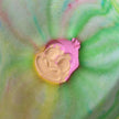 Monkey of Guava and Strawberry with Added foaming Bathbomb 90g