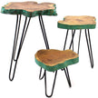 Set of 3 Gamal Wood Plant Stands - Greenwash
