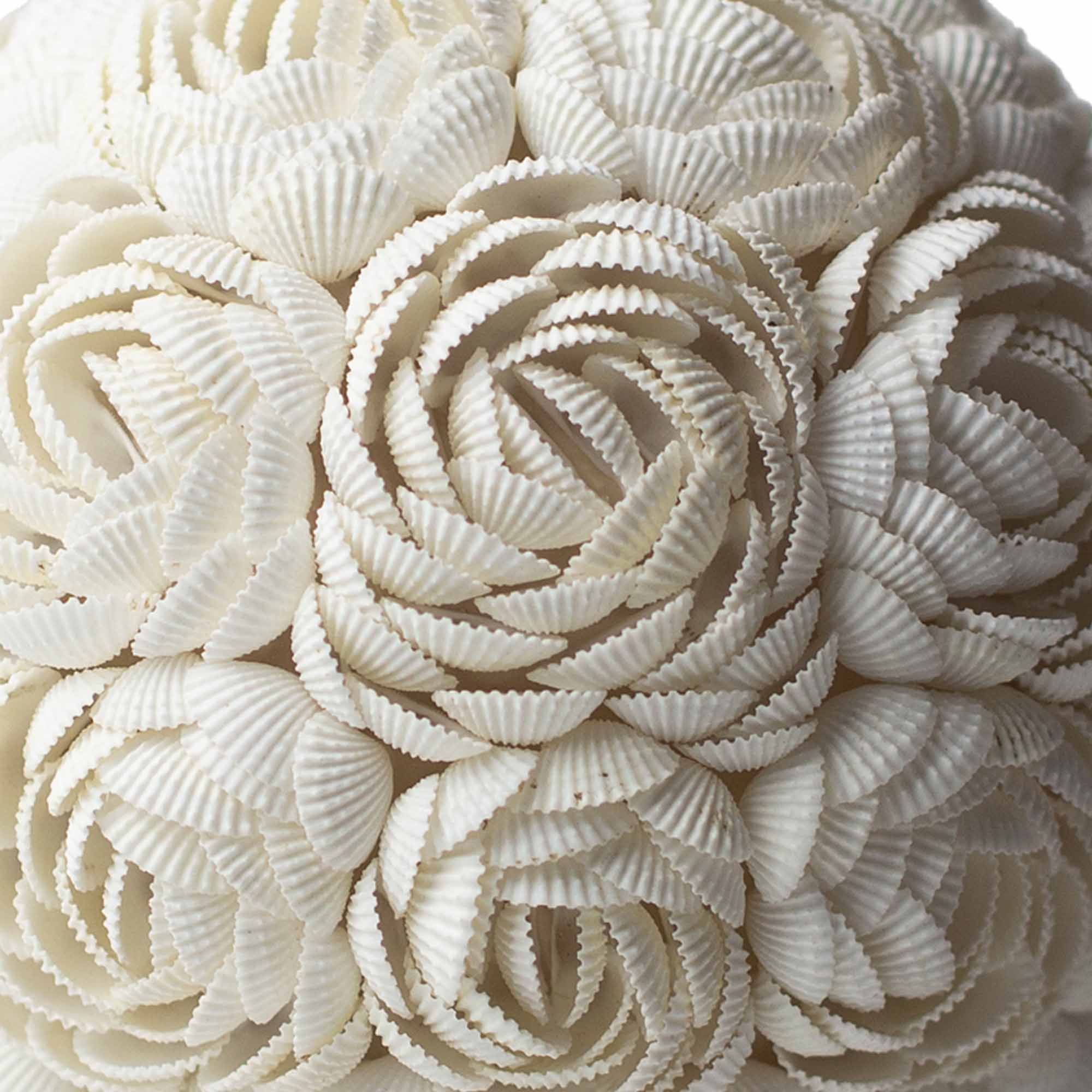 Boho Sea Shell Lamp - Rose Egg Oval - 15cm Gift [Free UK Delivery]