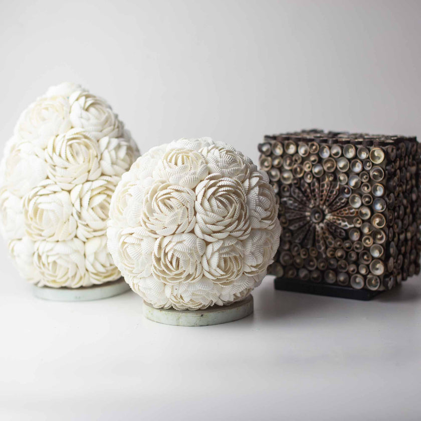 Boho Sea Shell Lamp - Rose Egg Oval - 15cm Gift [Free UK Delivery]