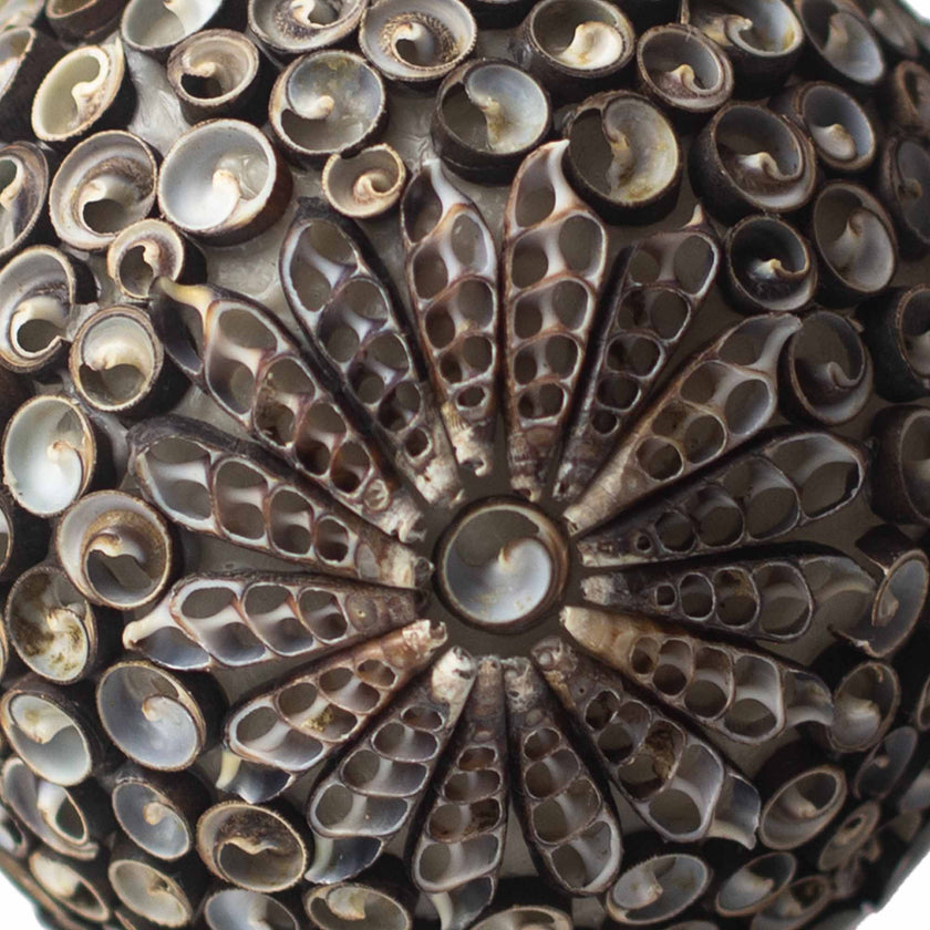 Boho Sea Shell Lamp - Chocolate Twist Oval Egg - 15cm