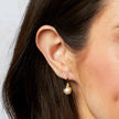 Laura Ashley Silver Ickleford Tulips Freshwater Pearl Earrings
