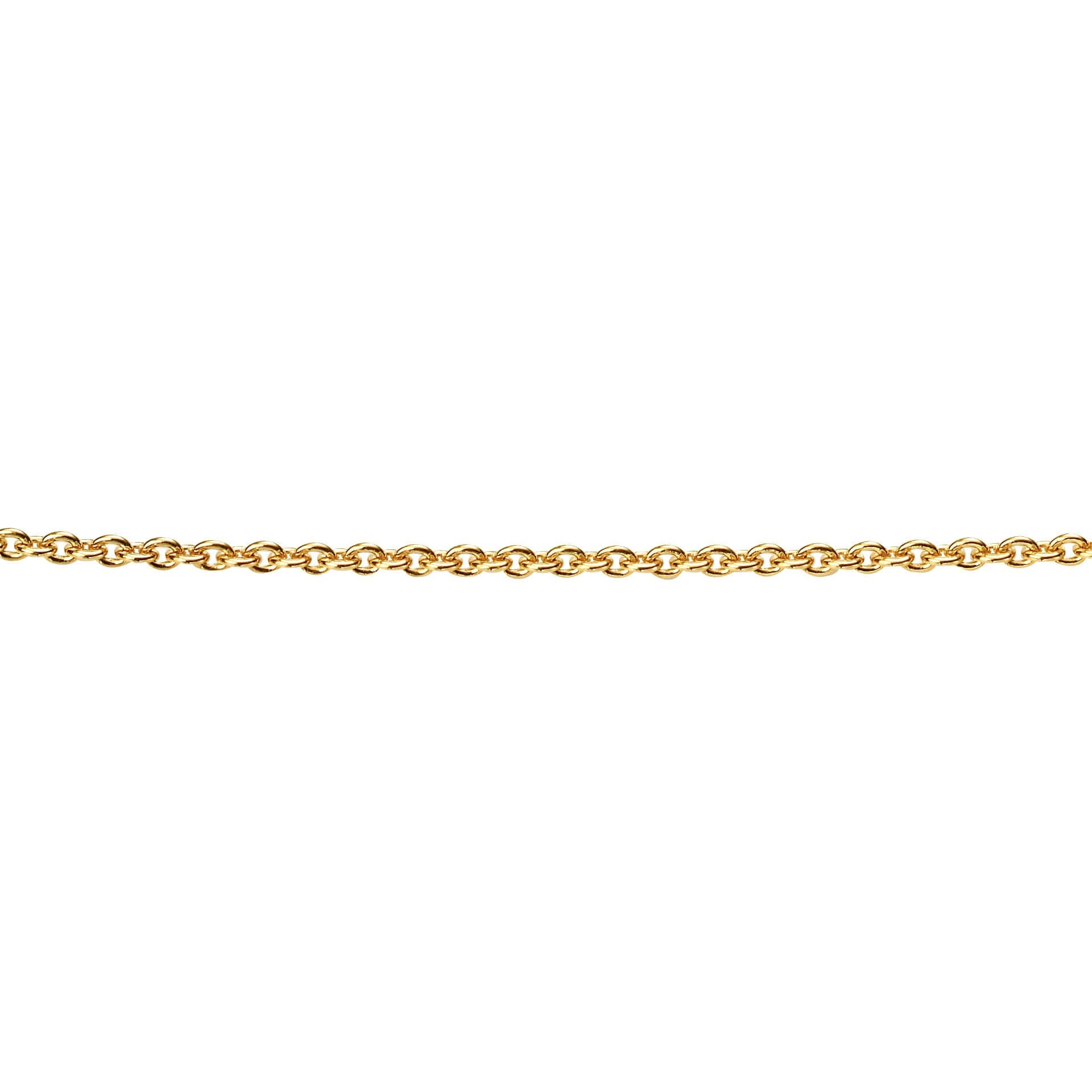 Beginnings Yellow Gold Plated Curb Chain with Extender 56cm-61cm