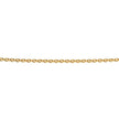 Beginnings Yellow Gold Plated Curb Chain with Extender 56cm-61cm