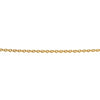 Beginnings Yellow Gold Plated Curb Chain with Extender 56cm-61cm