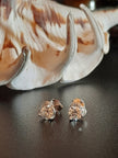 Total 1.0 Ctw VVS1 Lab Grown Heart Moissanite 18K White Gold Plated Silver Earrings Stud